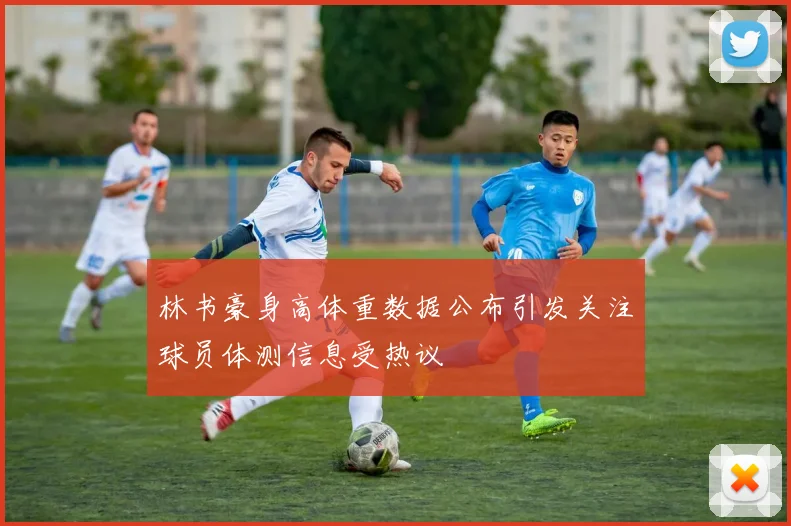 林书豪身高体重数据公布引发关注球员体测信息受热议
