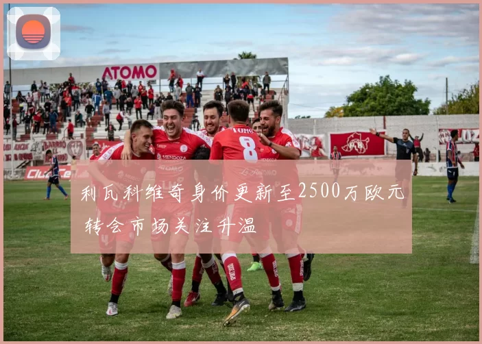 利瓦科维奇身价更新至2500万欧元 转会市场关注升温