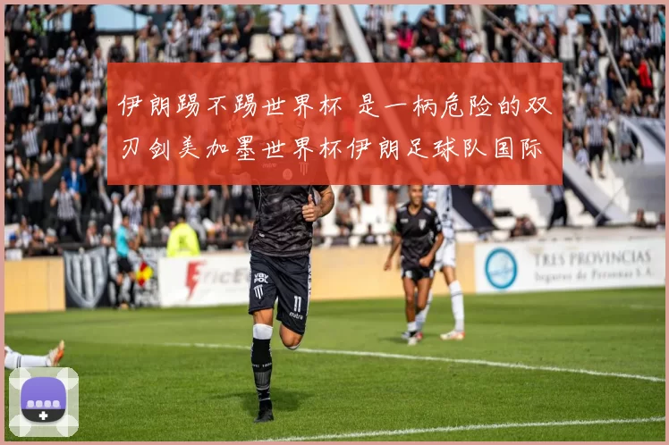 伊朗踢不踢世界杯 是一柄危险的双刃剑美加墨世界杯伊朗足球队国际足联FIFA足协 中超 新浪体育