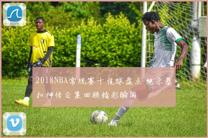 2018NBA常规赛十佳球盘点 绝杀暴扣神传合集回顾精彩瞬间