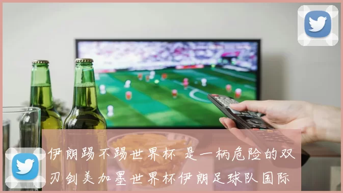伊朗踢不踢世界杯 是一柄危险的双刃剑美加墨世界杯伊朗足球队国际足联FIFA足协 中超 新浪体育