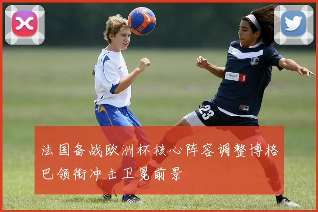 法国备战欧洲杯核心阵容调整博格巴领衔冲击卫冕前景