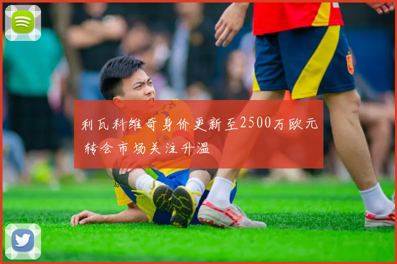 利瓦科维奇身价更新至2500万欧元 转会市场关注升温