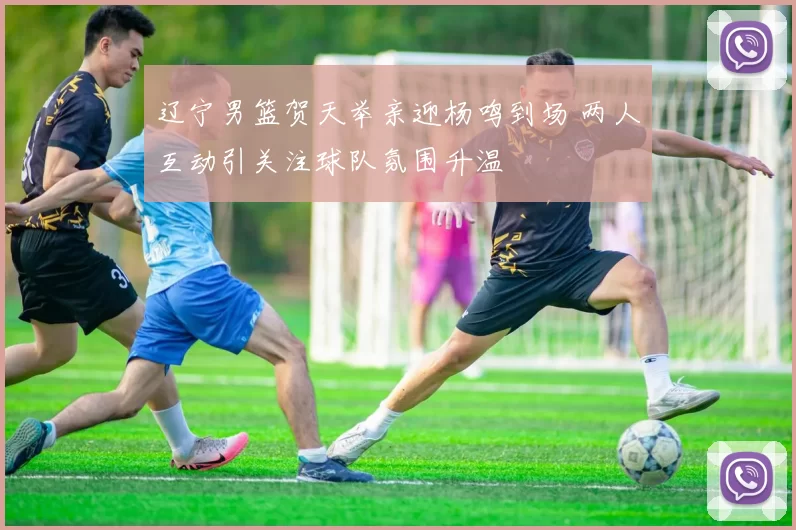 辽宁男篮贺天举亲迎杨鸣到场 两人互动引关注球队氛围升温