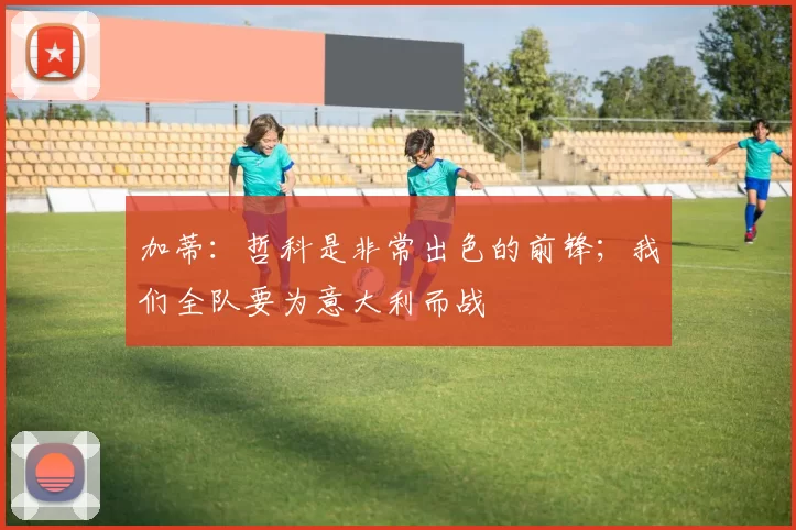 加蒂：哲科是非常出色的前锋；我们全队要为意大利而战