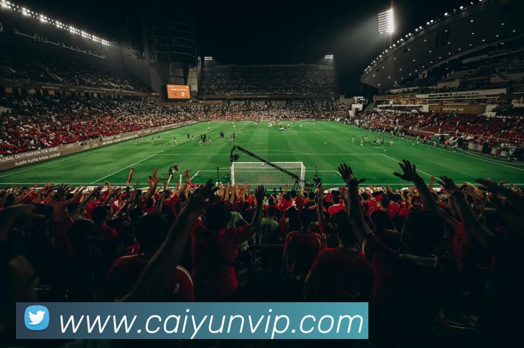 九游网页版·官方版在线入口 - 九游(中国)平台生态图